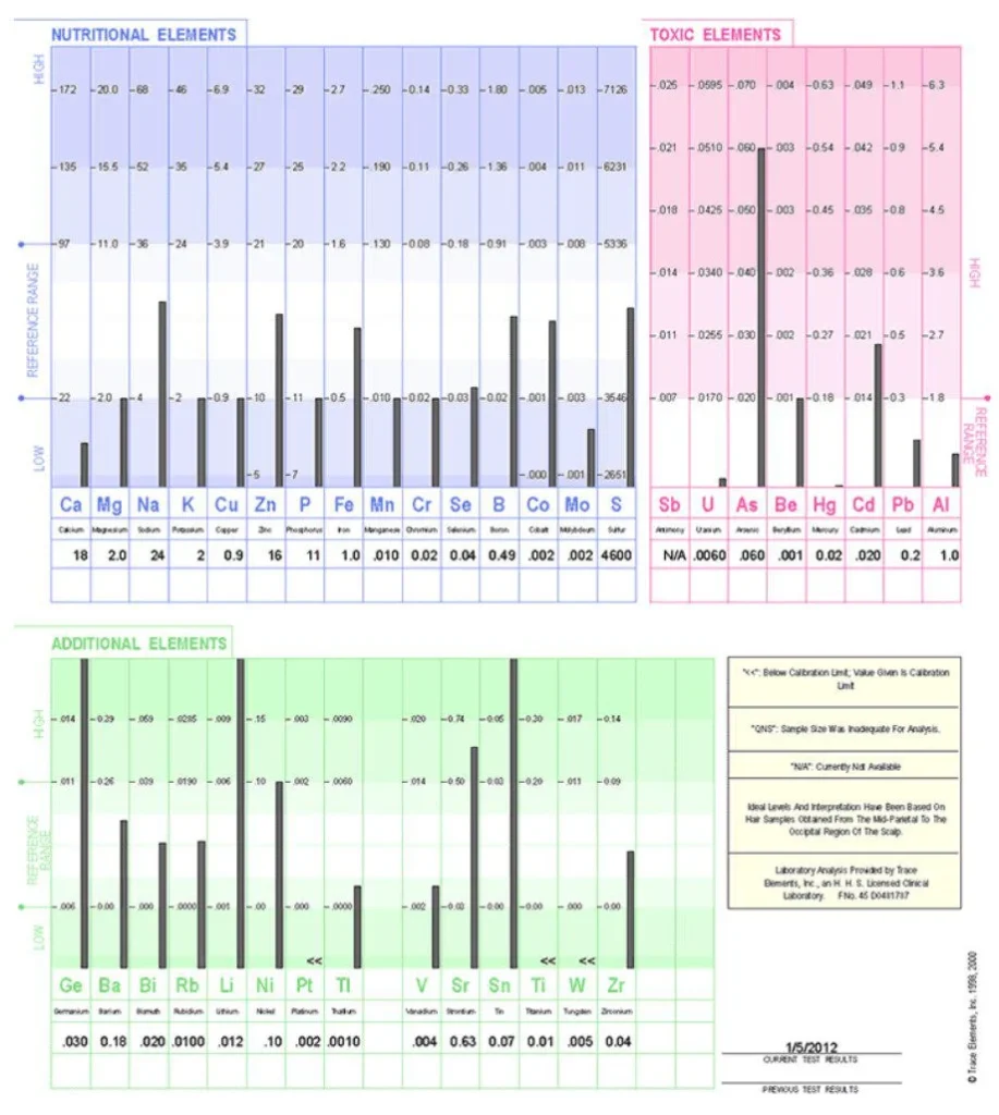 joel radley functional nutrition HTMA hair mineral analysis heavy metal hair test