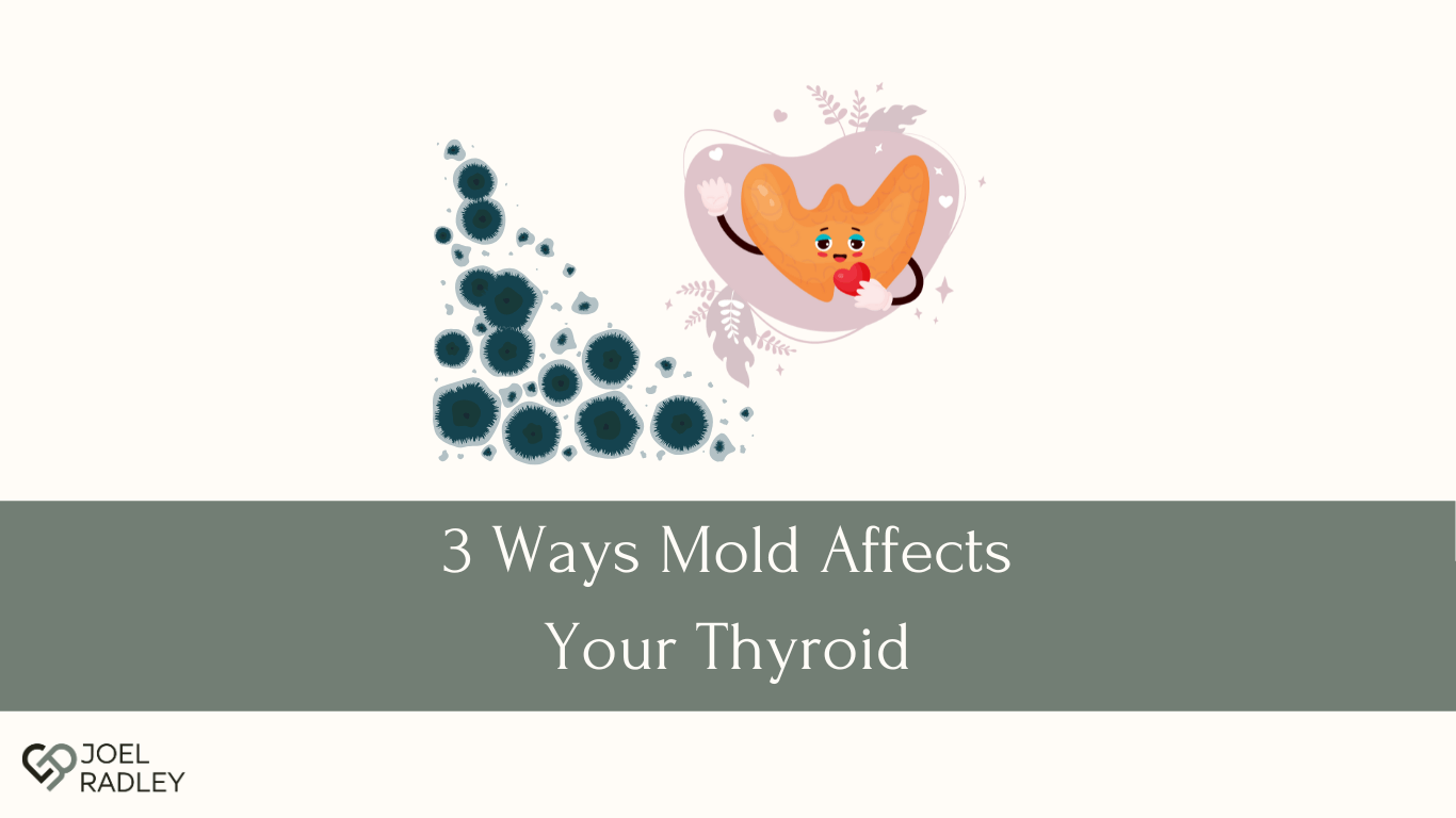 3 ways mold affects your thyroid joel radley functional nutrition